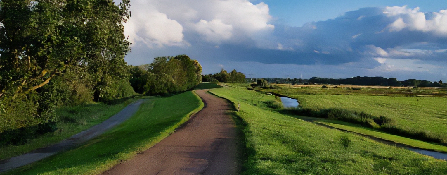 landschap flevoland